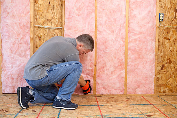 Best Types of Insulation in Kingsburg, CA